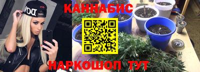 PSILOCYBIN Жуковский