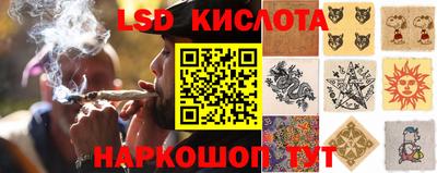 PSILOCYBIN Дубна