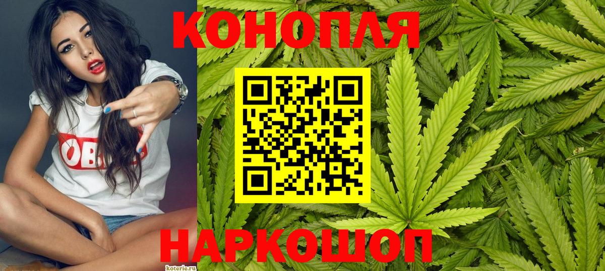 Каннабис сатива Лянтор